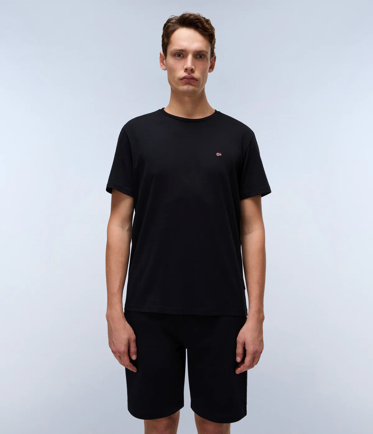 Napapijri SALIS SS SUM T-Shirt Black