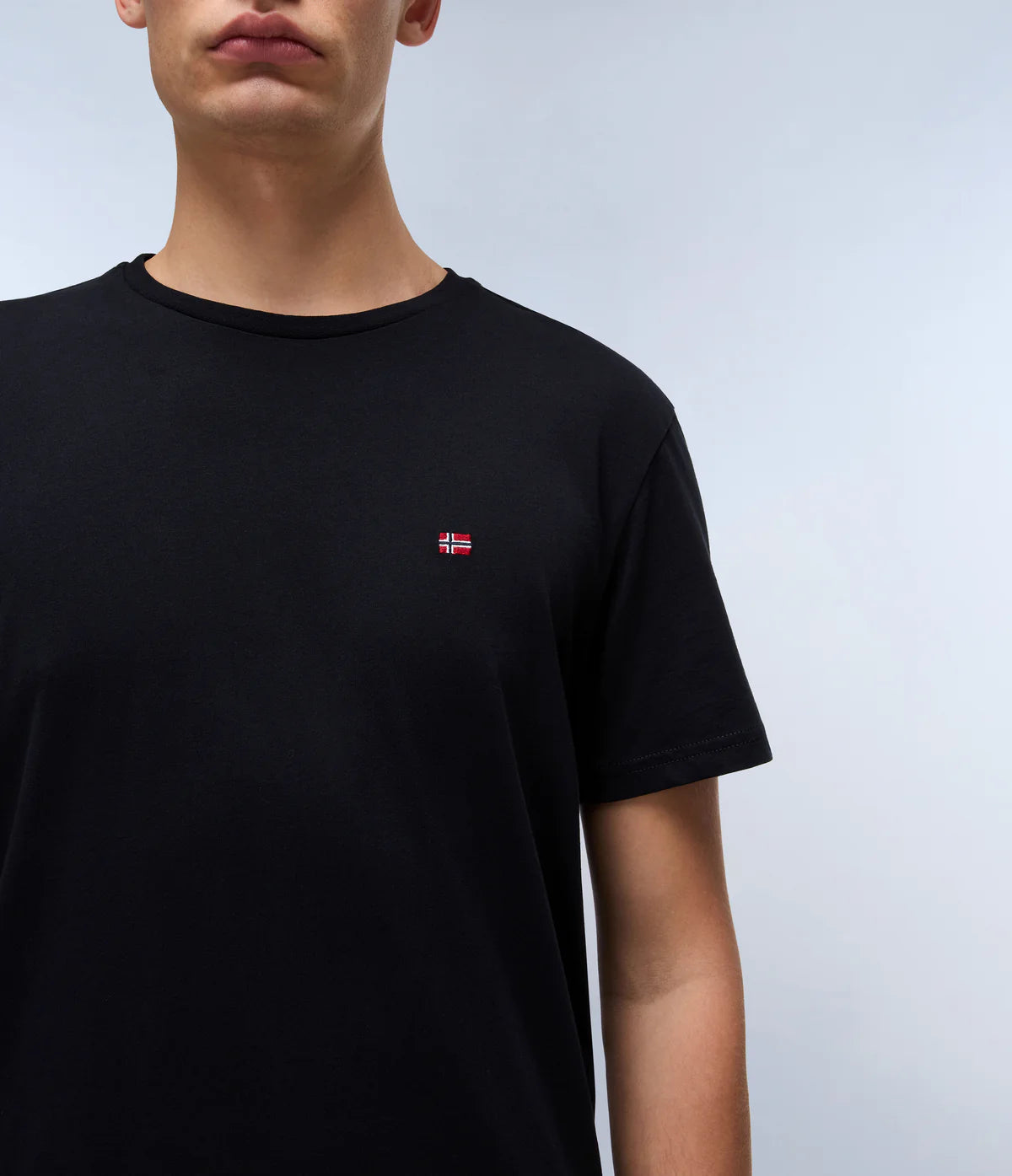 Napapijri SALIS SS SUM T-Shirt Black