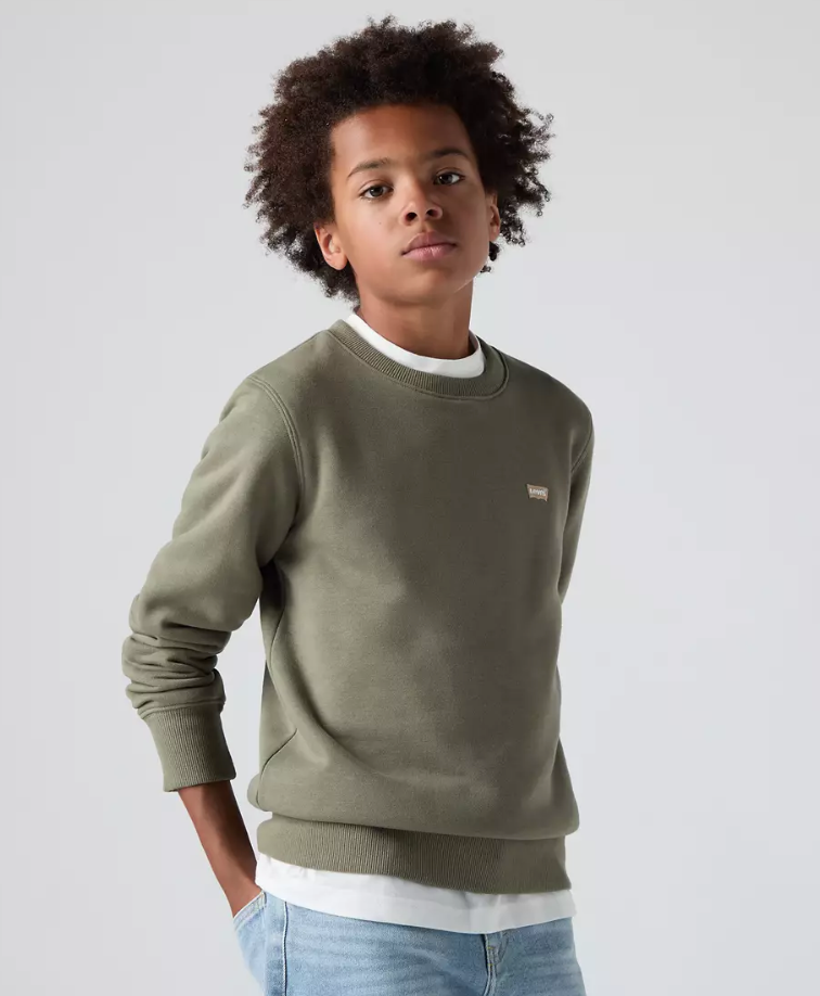 Levis Junior Small Logo Sweatshirt Deep Lichen Green
