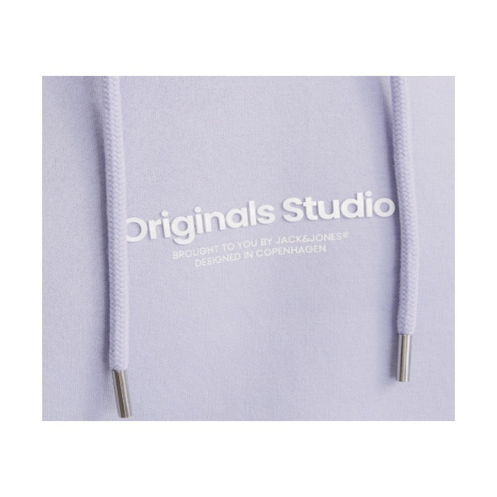 Jack & Jones JORVESTERBRO Sweat Hood Cosmic Sky