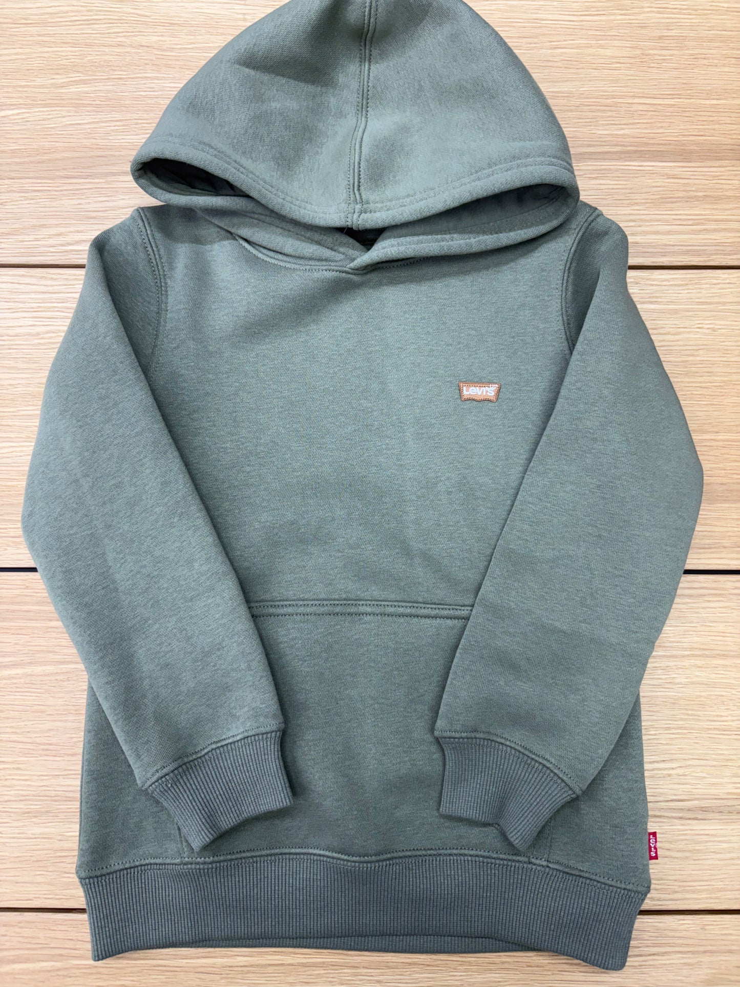 Levis Infant Small Logo Hoodie Deep Lichen Green