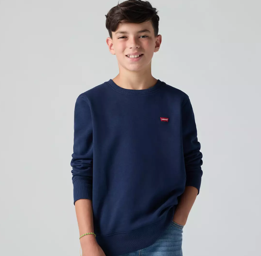 Levis Junior Small Logo Sweatshirt Dress Blues