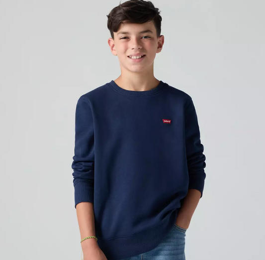 Levis Junior Small Logo Sweatshirt Dress Blues