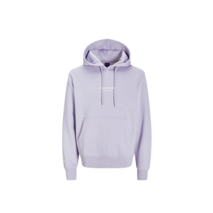 Jack & Jones JORVESTERBRO Sweat Hood Cosmic Sky