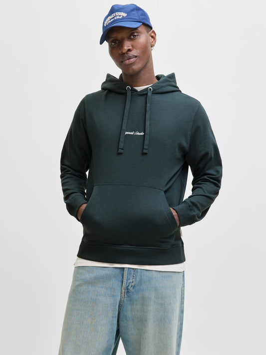 JACK & JONES JORNORREBRO Printed Hoodie Forest River